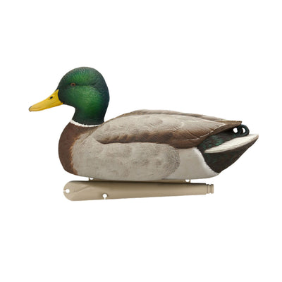 Avian X Topflight Realistic Floating Fusion Mallard Decoy Set, 6 Pack (Open Box) - VMInnovations