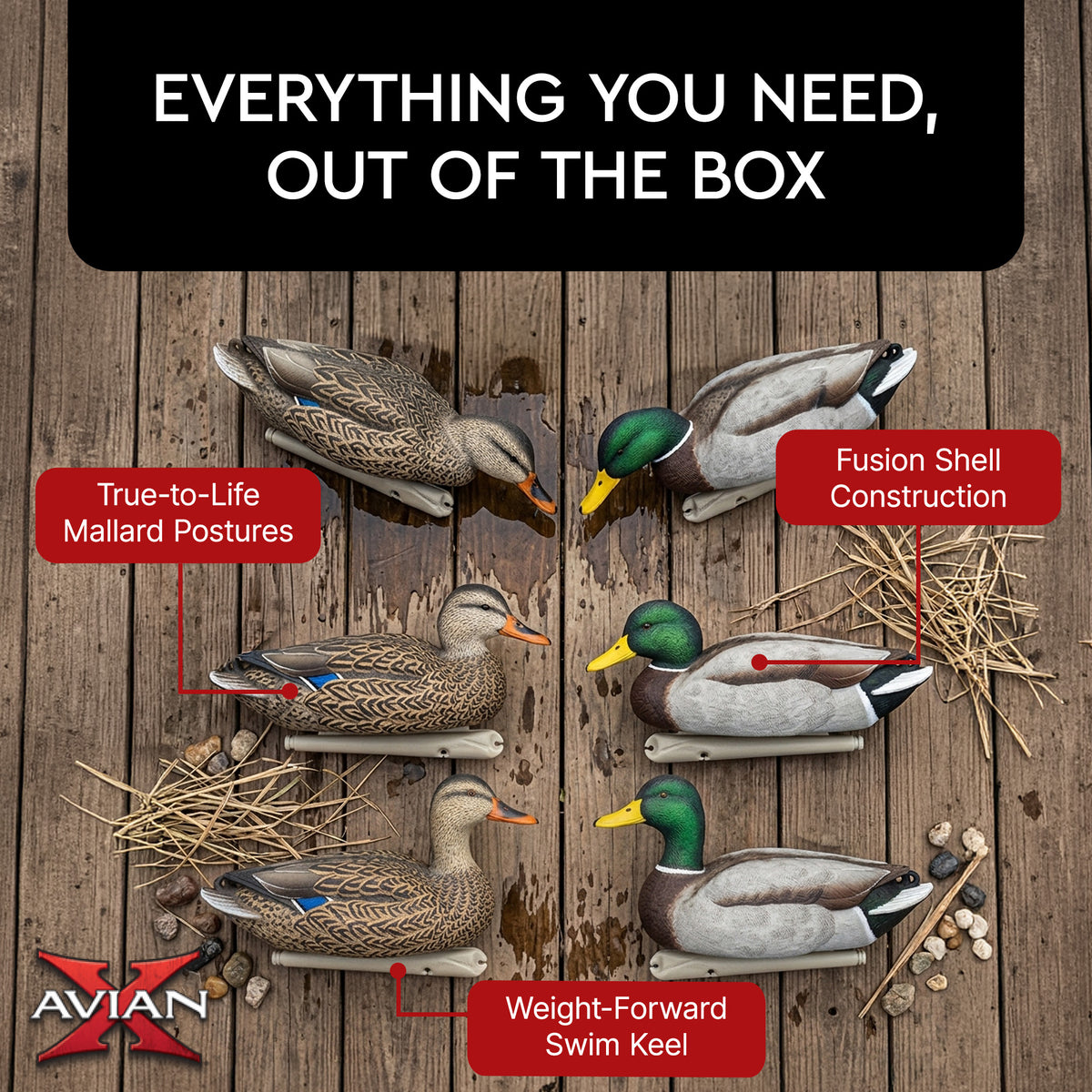 Avian X Topflight Realistic Floating Fusion Mallard Decoy Set, 6 Pack (Open Box)
