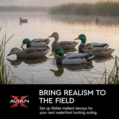 Avian X Topflight Realistic Floating Fusion Mallard Decoy Set, 6 Pack (Open Box)