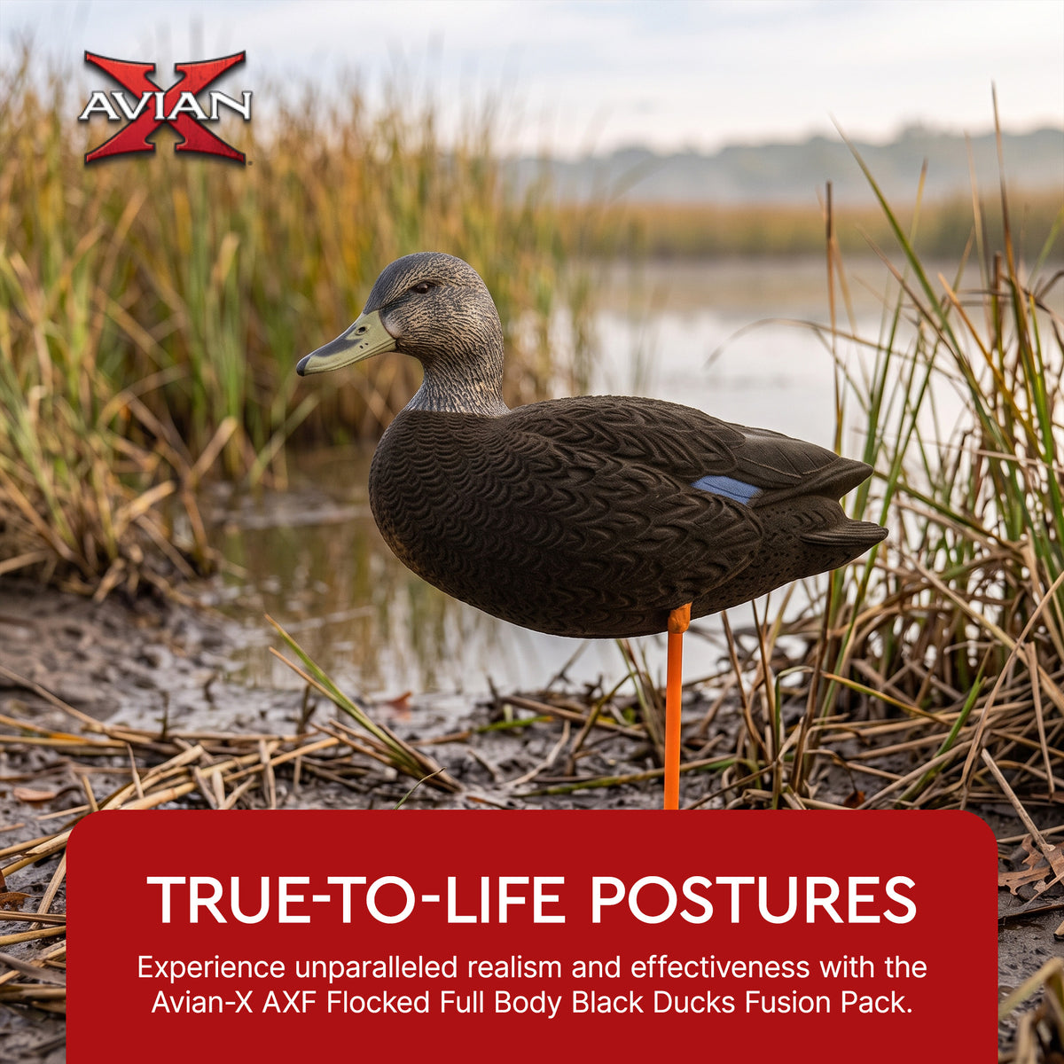 Avian X AXF Flocked Full Body Black Ducks Fusion Pack with Rugged Durability