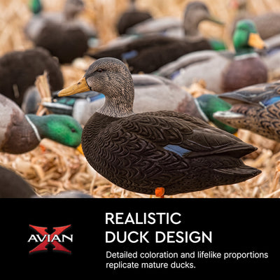 Avian X AXF Flocked Full Body Black Ducks Fusion Pack with Rugged Durability