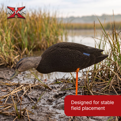 Avian X AXF Flocked Full Body Black Ducks Fusion Pack with Rugged Durability