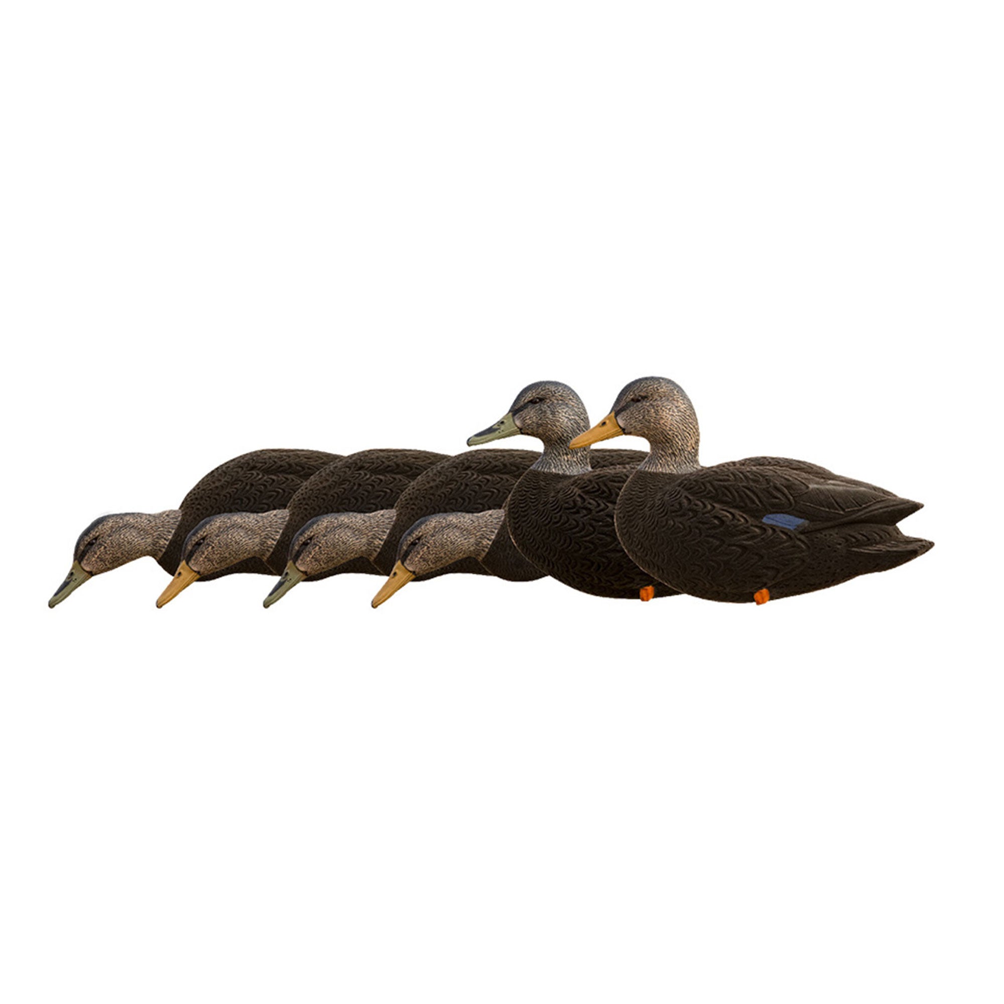 Avian X AXF Flocked Full Body Black Ducks Fusion Pack with Rugged Durability