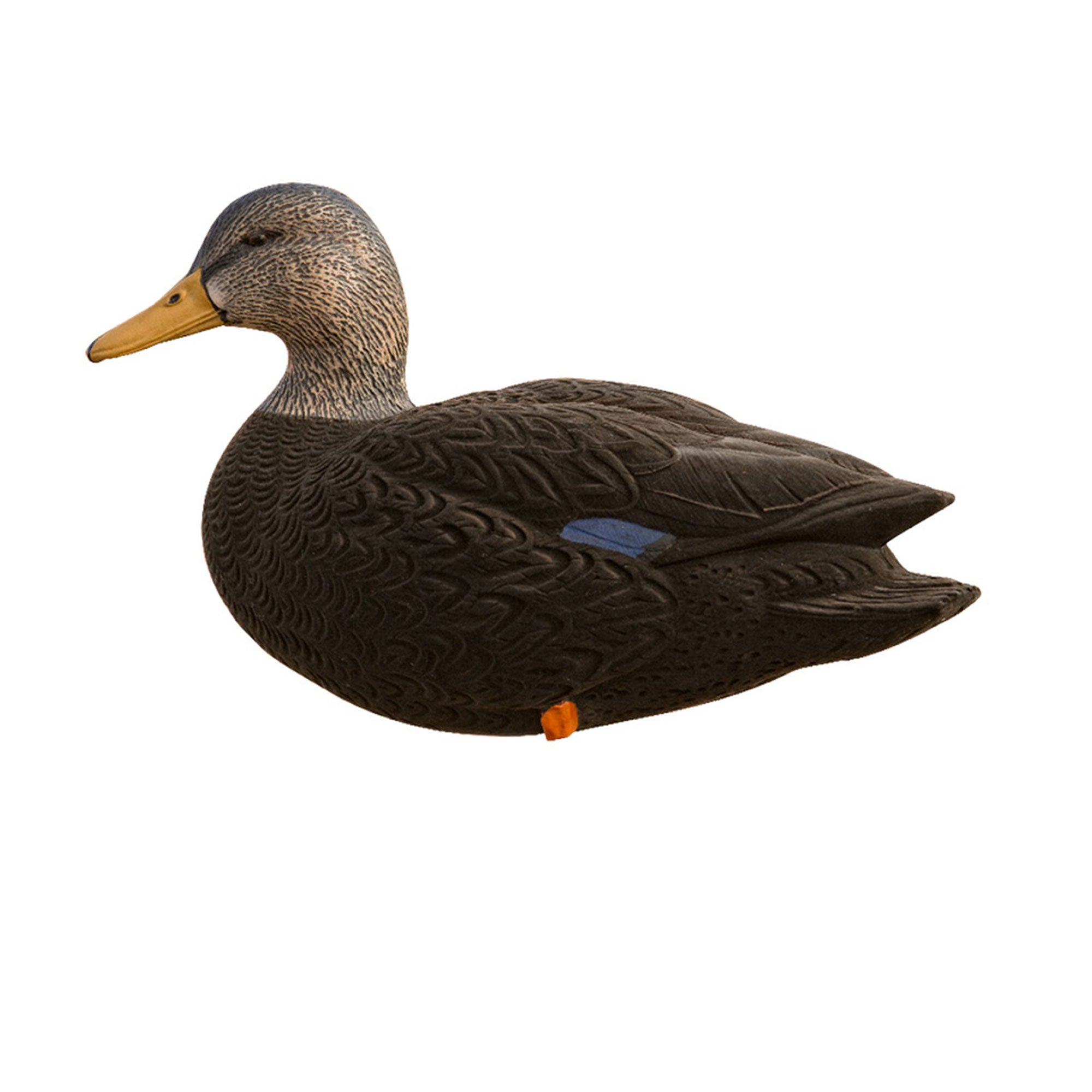 Avian X AXF Flocked Full Body Black Ducks Fusion Pack with Rugged Durability