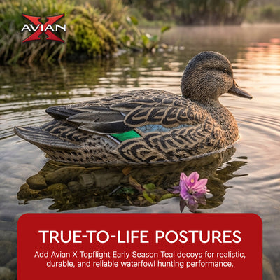 Avian X Early Season Teal w/Realistic True to Life Postures, 6pk(Open Box)