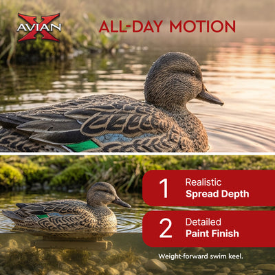 Avian X Early Season Teal w/Realistic True to Life Postures, 6pk(Open Box)