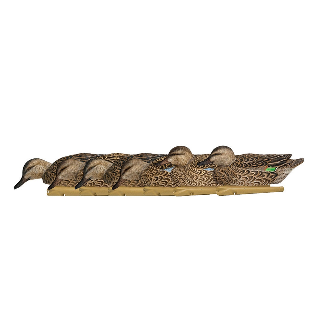 Avian X Early Season Teal w/Realistic True to Life Postures, 6pk(Open Box)