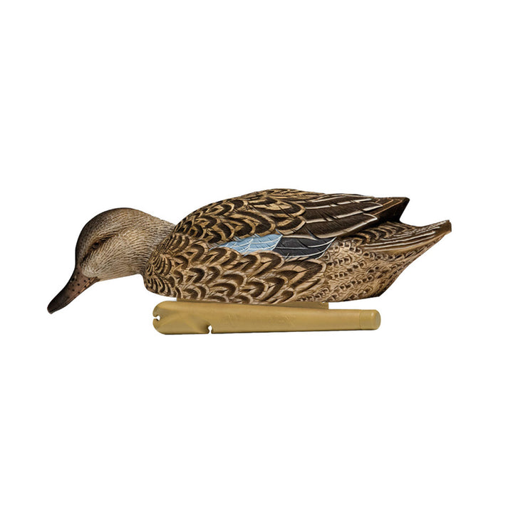 Avian X Early Season Teal w/Realistic True to Life Postures, 6pk(Open Box)