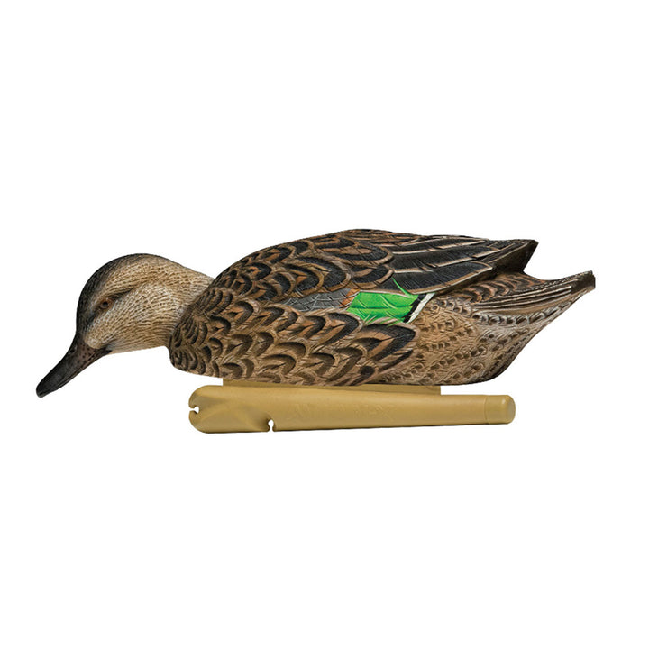 Avian X Early Season Teal w/Realistic True to Life Postures, 6pk(Open Box)