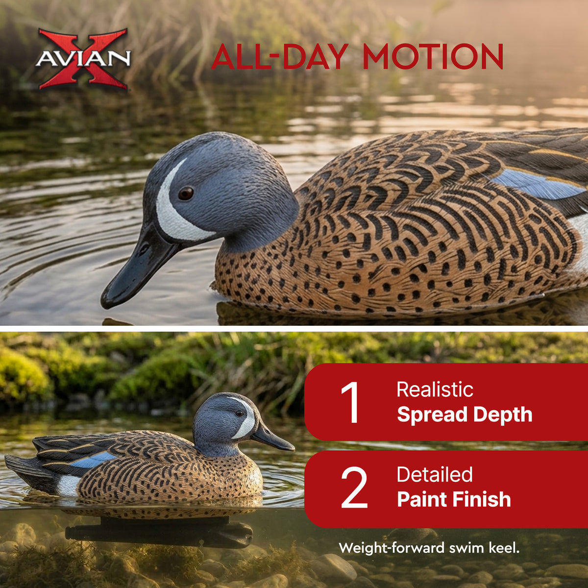 Avian X Topflight Blue-Winged Teal Duck, Realistic Floating Outdoor Duck Decoys
