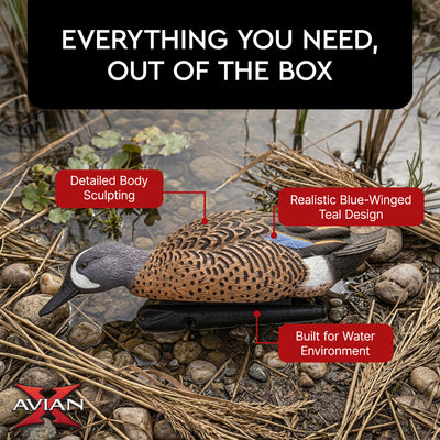 Avian X Topflight Blue-Winged Teal Duck, Realistic Floating Outdoor Duck Decoys