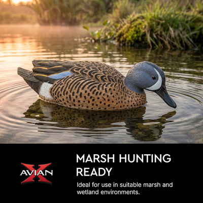 Avian X Topflight Blue-Winged Teal Duck, Realistic Floating Outdoor Duck Decoys