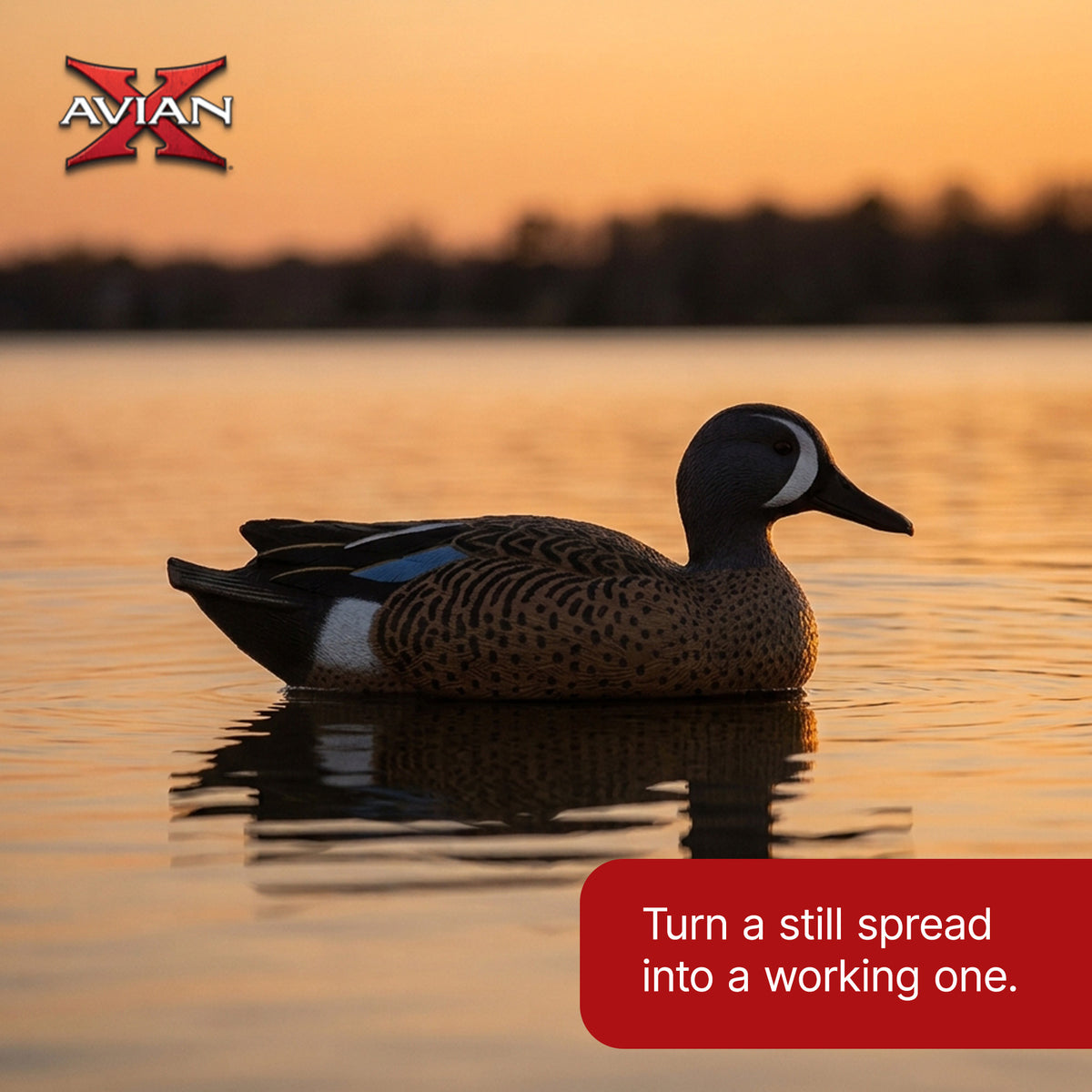 Avian X Topflight Blue-Winged Teal Duck, Realistic Floating Outdoor Duck Decoys