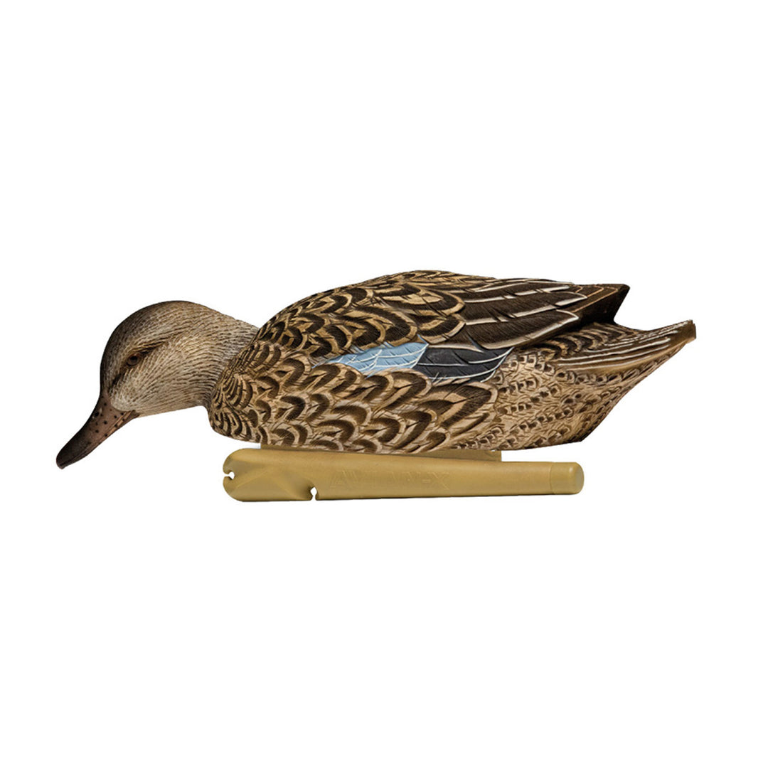 Avian X Topflight Blue-Winged Duck, Realistic Floating Duck Decoys (Open Box)