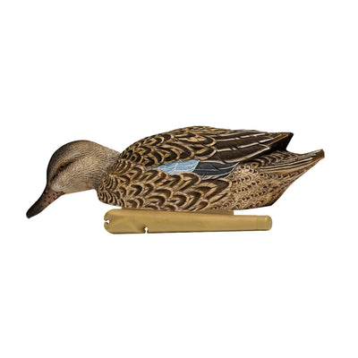 Avian X Topflight Blue-Winged Teal Duck, Realistic Floating Outdoor Duck Decoys