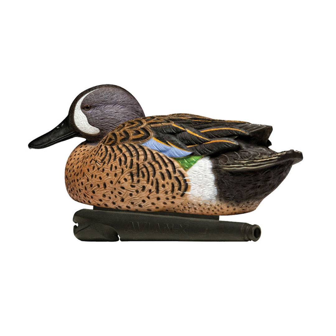 Avian X Topflight Blue-Winged Duck, Realistic Floating Duck Decoys (Open Box)