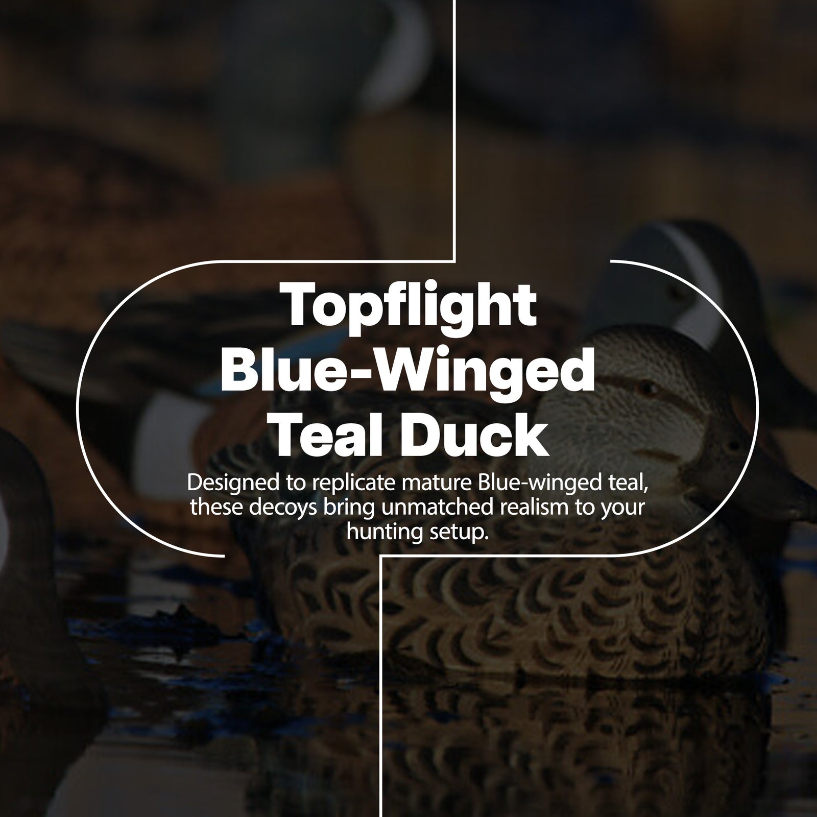 Avian X Topflight Blue-Winged Duck, Realistic Floating Duck Decoys (Open Box) - VMInnovations