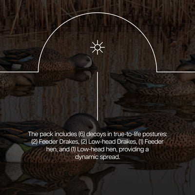 Avian X Topflight Blue-Winged Duck, Realistic Floating Duck Decoys (Open Box) - VMInnovations