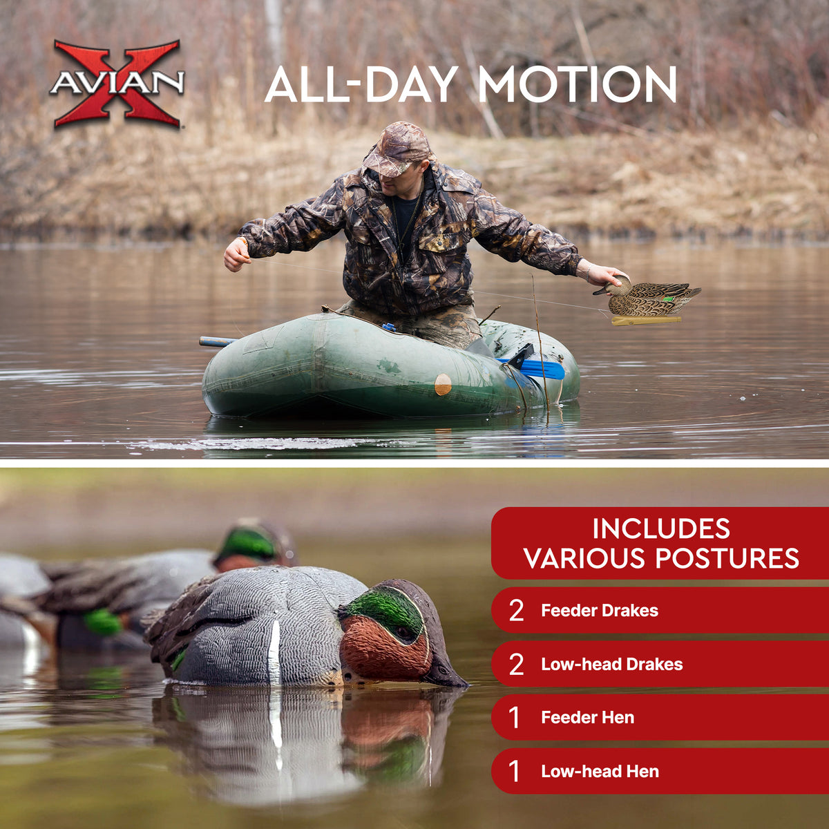Avian X Topflight Green-Winged Teal Duck, Floating Decoys, 6pc (Open Box) - VMInnovations