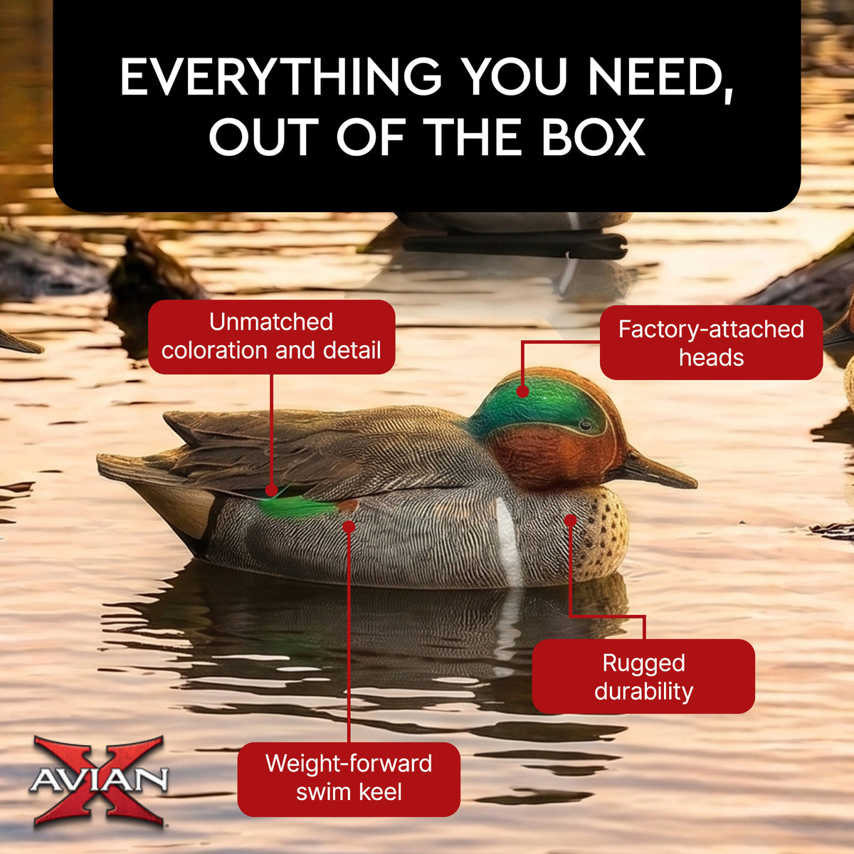 Avian X Green-Winged Teal Duck, Floating Decoys, Set of 6, Multicolor (Used)