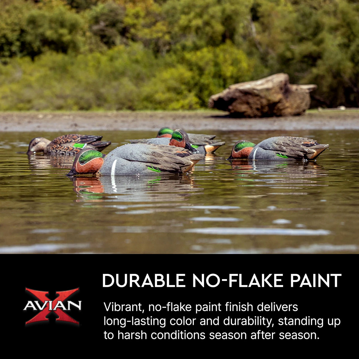 Avian X Topflight Green-Winged Teal Duck, Floating Decoys, Set of 6, Multicolor