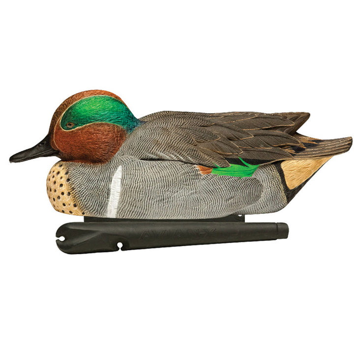 Avian X Topflight Green-Winged Teal Duck, Floating Decoys, 6pc (Open Box)