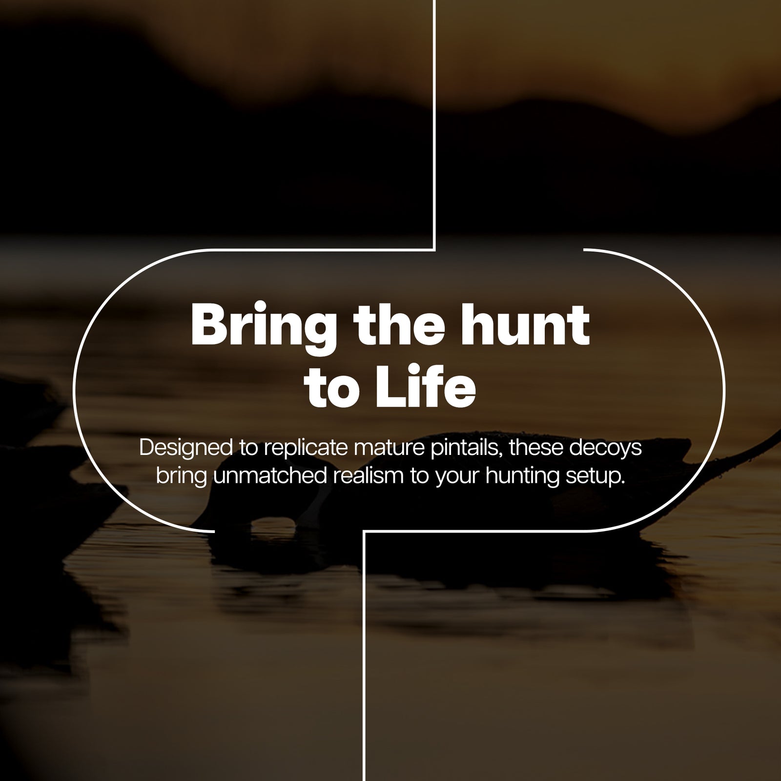 Avian X Topflight Pintails,Realistic Floating Decoys, 6 CT, Multicolor(Open Box) - VMInnovations