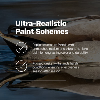 Avian X Topflight Pintails,Realistic Floating Decoys, 6 CT, Multicolor(Open Box)