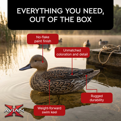 Avian X Topflight Pintails,Realistic Floating Decoys, 6 CT, Multicolor(Open Box) - VMInnovations
