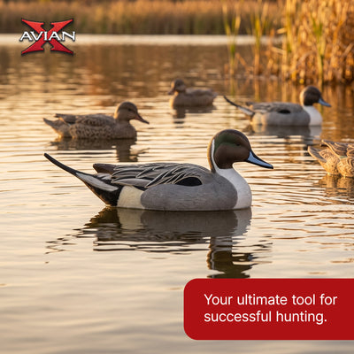 Avian X Topflight Pintails, Realistic Floating Decoys, Set of 6, Multicolor