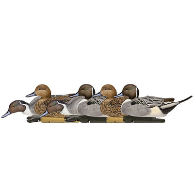 Avian X Topflight Pintails,Realistic Floating Decoys, 6 CT, Multicolor(Open Box) - VMInnovations