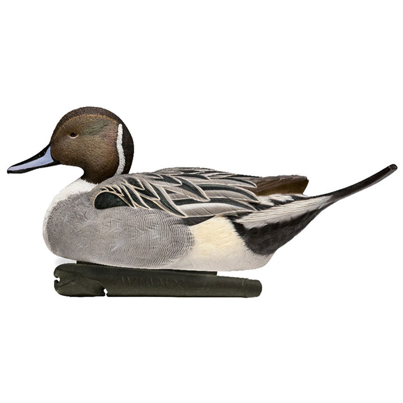 Avian X Topflight Pintails, Realistic Floating Decoys, Set of 6, Multicolor