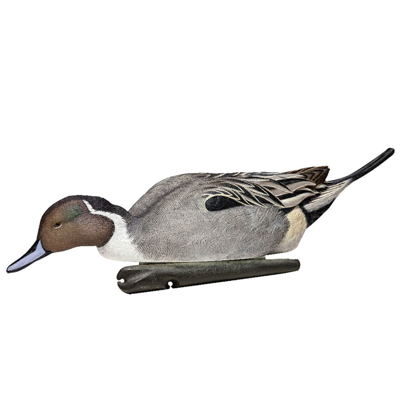 Avian X Topflight Pintails, Realistic Floating Decoys, Set of 6, Multicolor