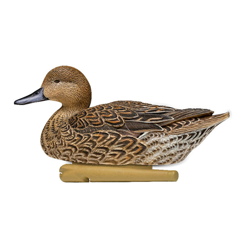 Avian X Topflight Pintails, Realistic Floating Decoys, Set of 6, Multicolor