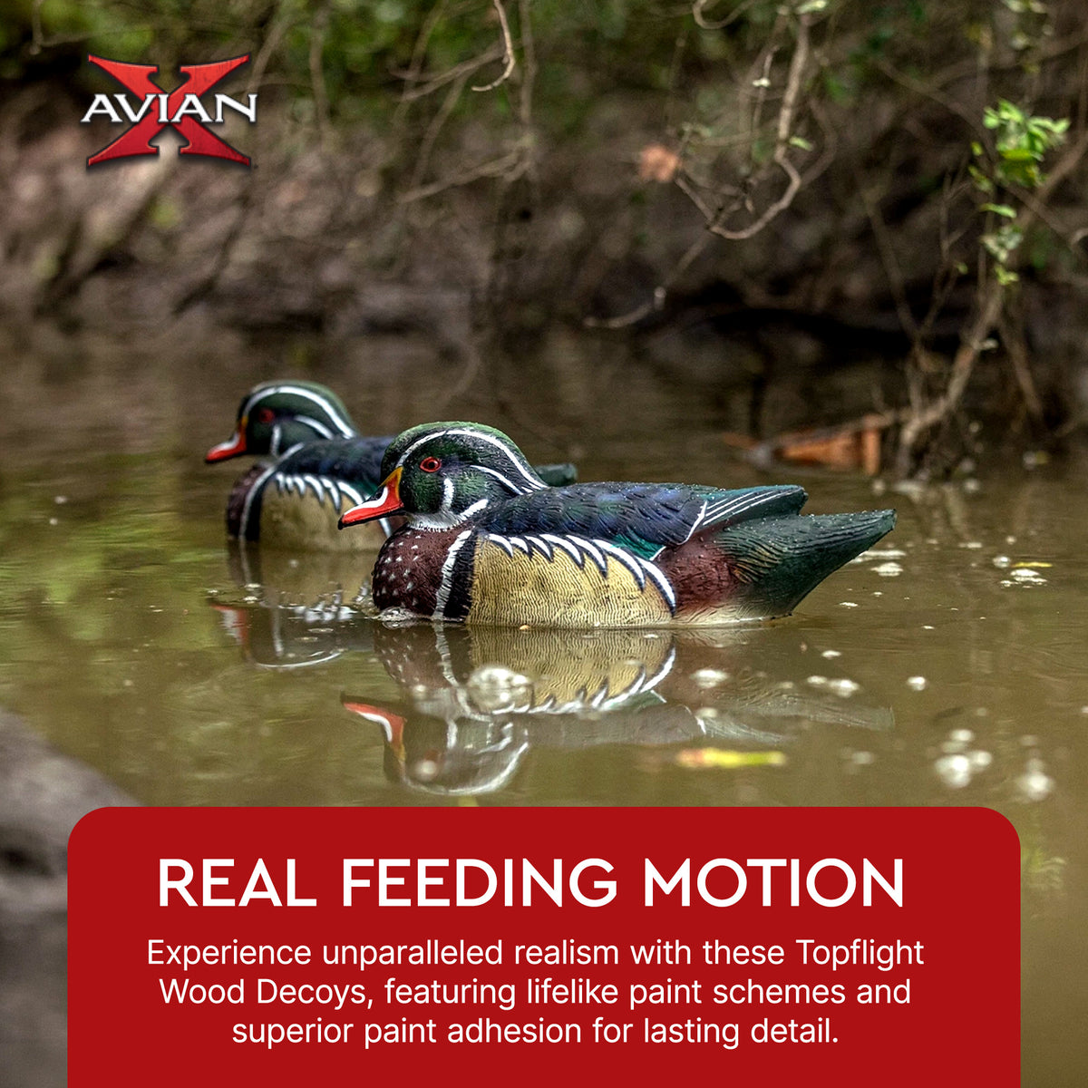 Avian X Topflight Wood Ducks, Floating Decoys, 6 Pack, Multicolor (Open Box) - VMInnovations