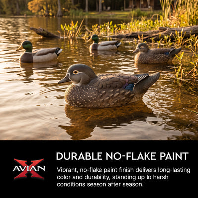 Avian X Topflight Wood Ducks, Realistic Floating Decoys, 6 Pk, Multicolor (Used) - VMInnovations