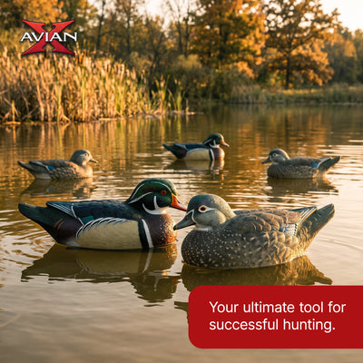 Avian X Topflight Wood Ducks, Realistic Floating Decoys, 6 Pk, Multicolor (Used)
