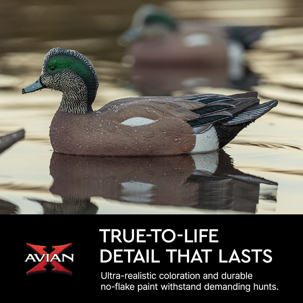 Avian X Topflight Wigeons, Rugged Realistic Floating Decoys, 6 Pack (Open Box) - VMInnovations