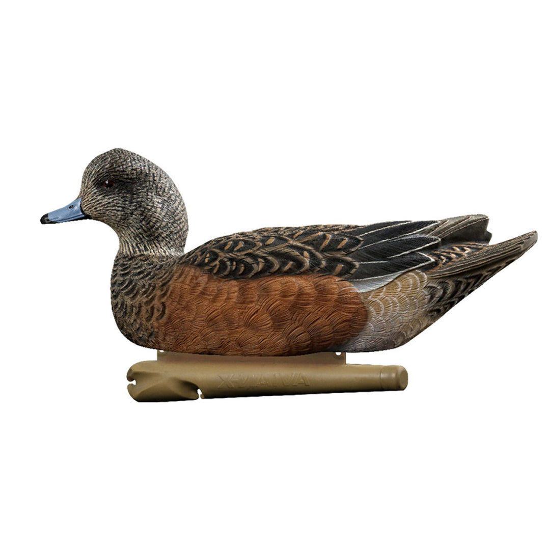 Avian X Topflight Wigeons, Rugged Realistic Floating Decoys, 6 Pack (Open Box)