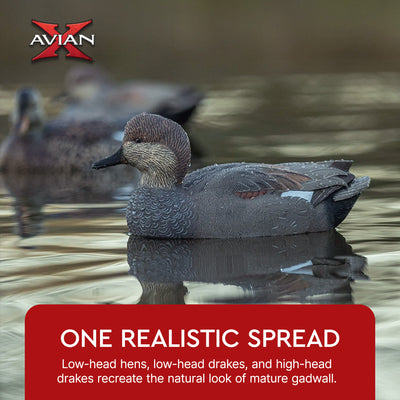 Avian X Topflight Gadwall Decoys Realistic Gray Ducks, Set of 6, Multicolor