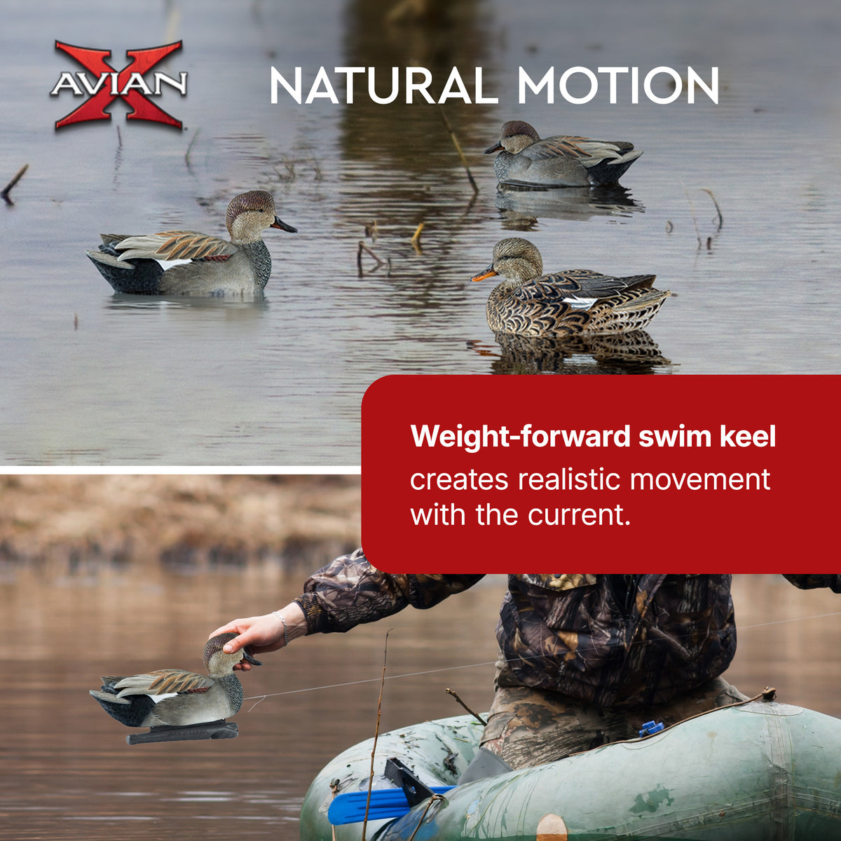 Avian X Topflight Gadwall Decoys Realistic Gray Ducks, Set of 6, Multicolor