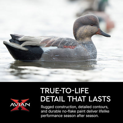 Avian X Topflight Gadwall Decoys Realistic Gray Ducks, Set of 6, Multicolor