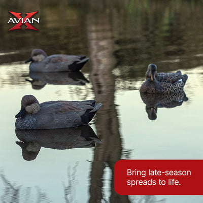 Avian X Topflight Gadwall Decoys Realistic Gray Ducks, 6pk,Multicolor(Open Box) - VMInnovations