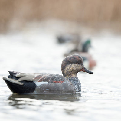 Avian X Topflight Gadwall Decoys Realistic Gray Ducks, Set of 6, Multicolor - VMInnovations
