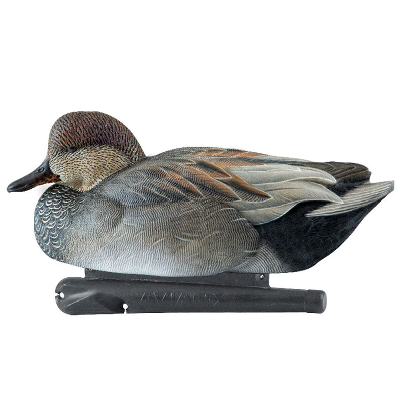 Avian X Topflight Gadwall Decoys Realistic Gray Ducks, Set of 6, Multicolor