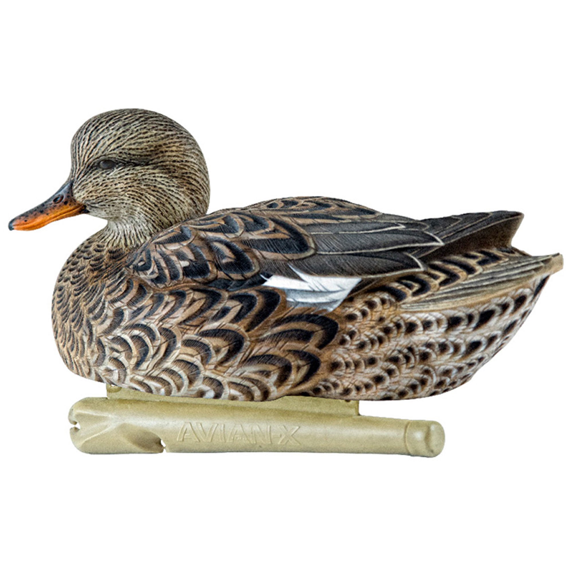 Avian X Topflight Gadwall Decoys Realistic Gray Ducks, Set of 6, Multicolor - VMInnovations