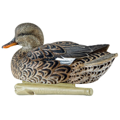 Avian X Topflight Gadwall Decoys Realistic Gray Ducks, Set of 6, Multicolor - VMInnovations