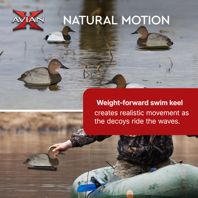 Avian X Topflight Canvasbacks Decoys Realistic Gray Duck, Set of 6, Multicolor