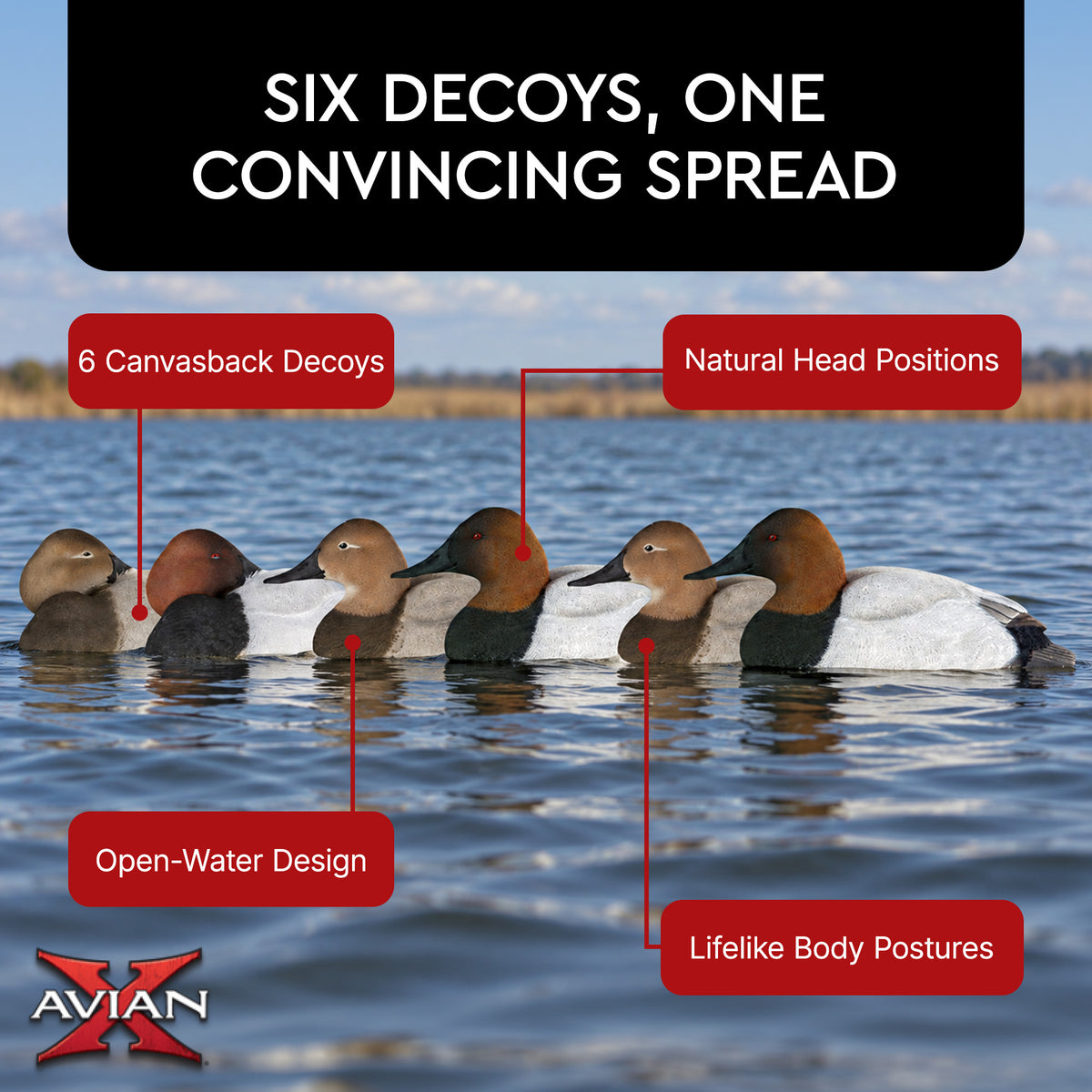 Avian X Topflight Canvasbacks Decoys Realistic Gray Duck, Set of 6, Multicolor