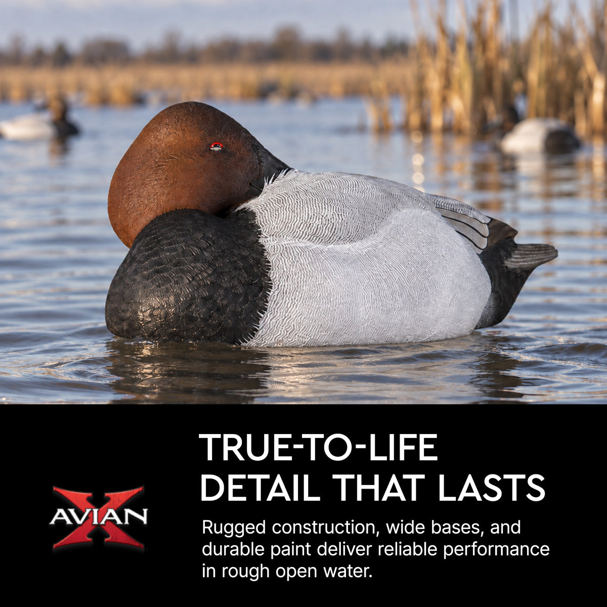 Avian X Topflight Canvasbacks Decoys Realistic Gray Duck, Set of 6, Multicolor
